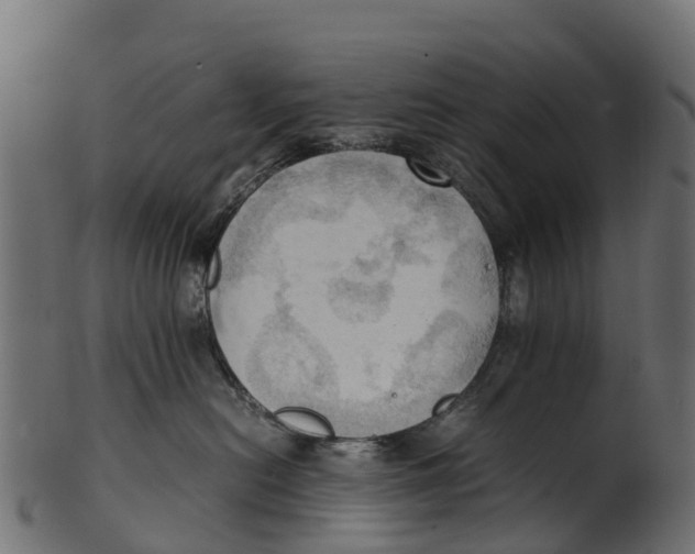 X0000100480478200807031856