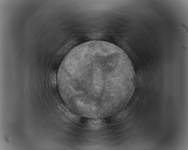 X0000100480479200807031856