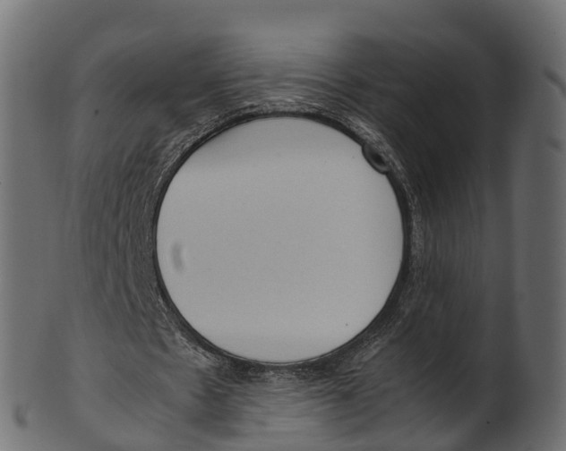 X0000100480481200807031855