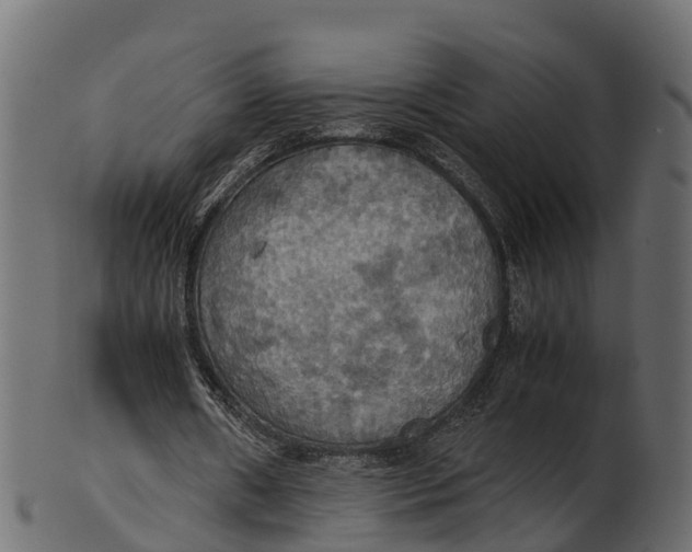 X0000100480482200807031855