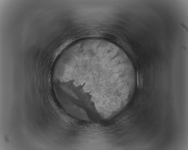 X0000100480483200807031855