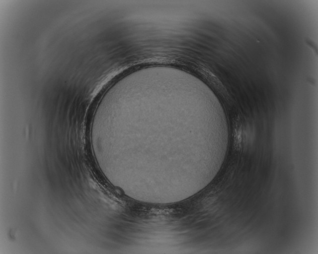 X0000100480484200807031855