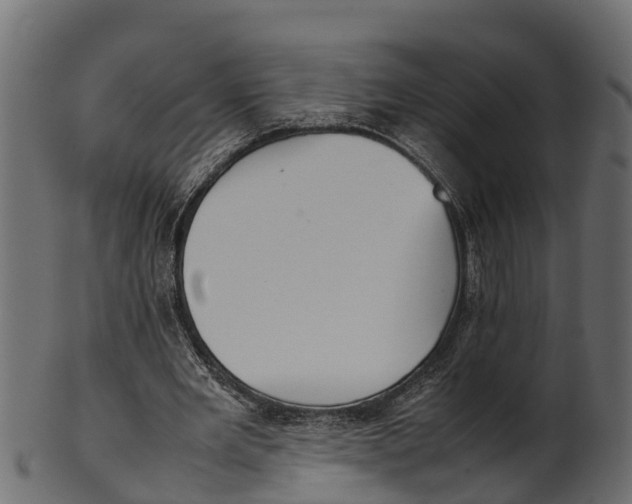 X0000100480485200807031855