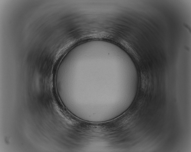 X0000100480486200807031855