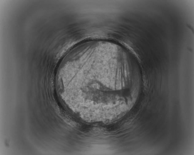 X0000100480487200807031855