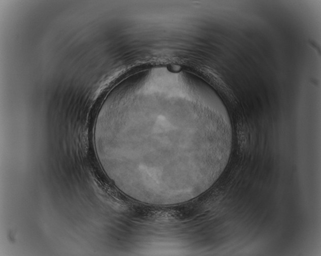 X0000100480488200807031855