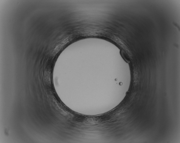 X0000100480489200807031855