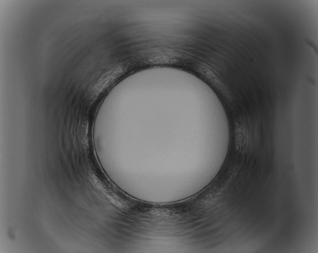 X0000100480490200807031855