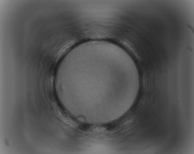 X0000100480491200807031855