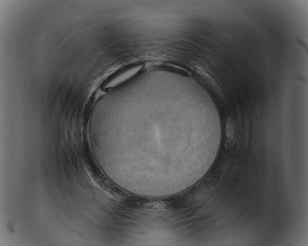 X0000100480492200807031855