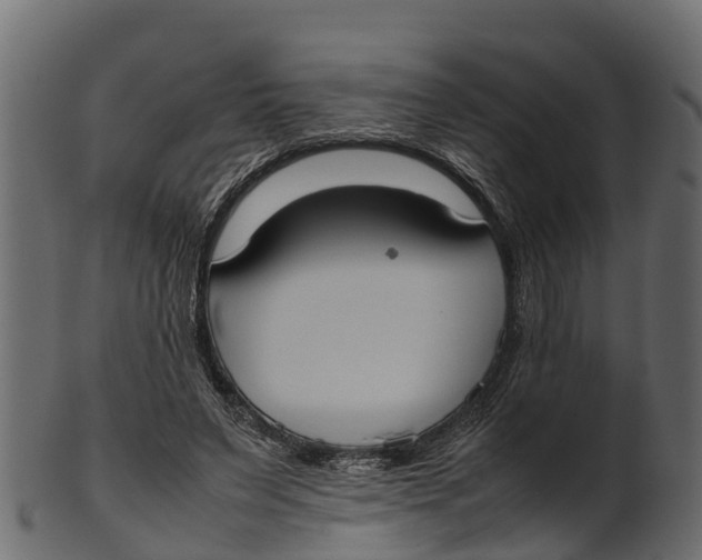 X0000100480495200807031855