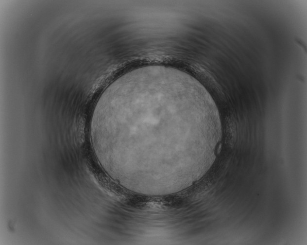 X0000100480496200807031855