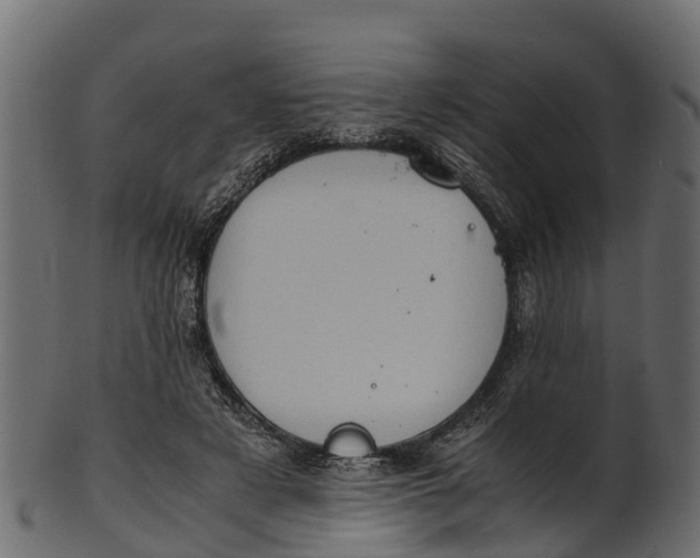 X0000100480497200807031855