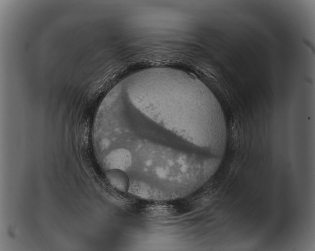 X0000100480499200807031855