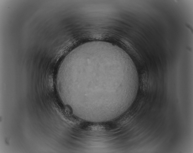 X0000100480500200807031855