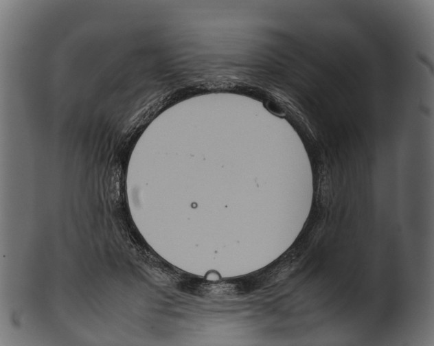 X0000100480501200807031855