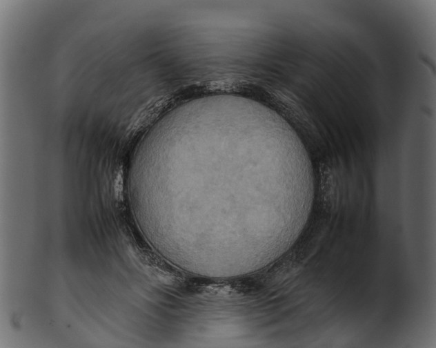 X0000100480502200807031855