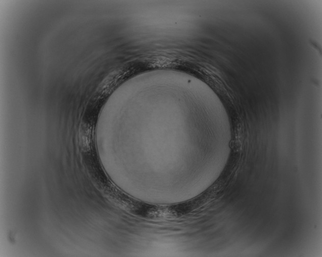 X0000100480503200807031855