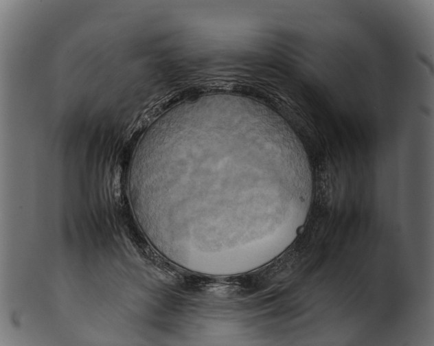 X0000100480504200807031855