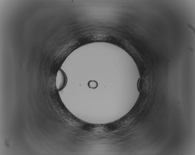 X0000100480505200807031855