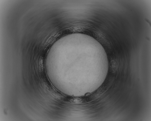 X0000100480506200807031855