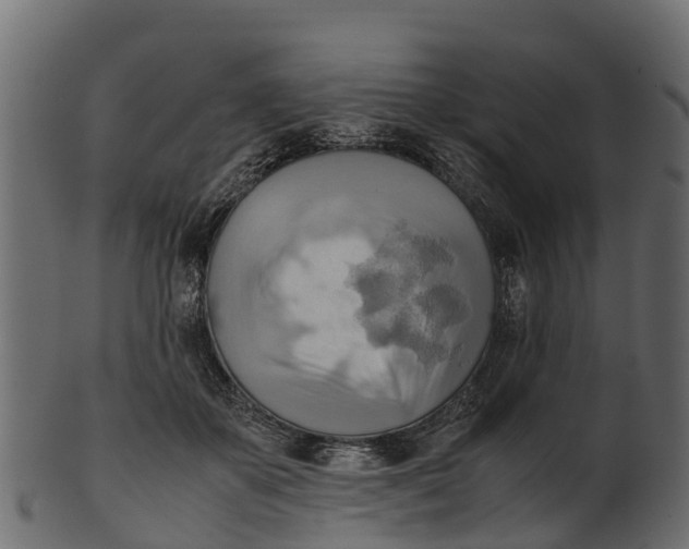 X0000100480507200807031855