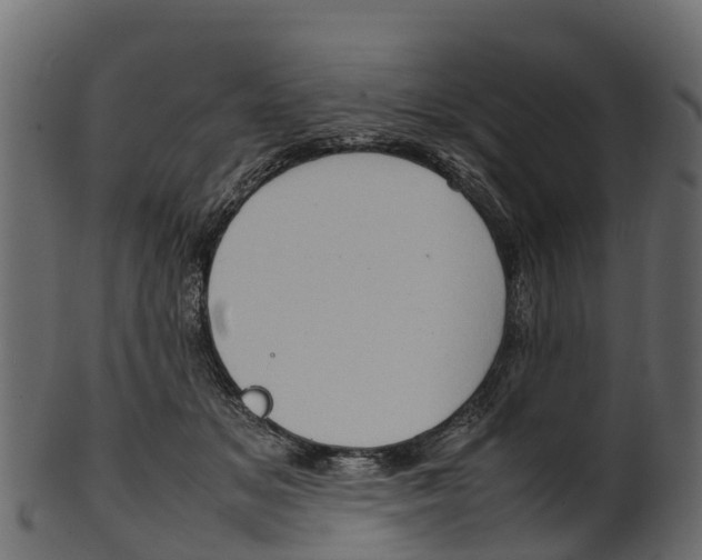 X0000100480509200807031855