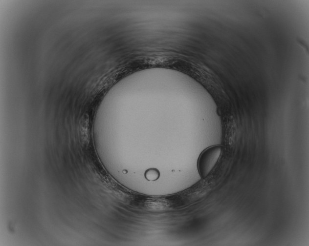 X0000100480510200807031855