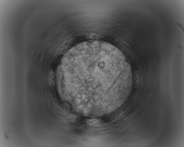 X0000100480511200807031855