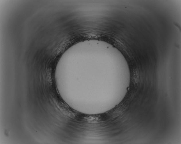 X0000100480512200807031855