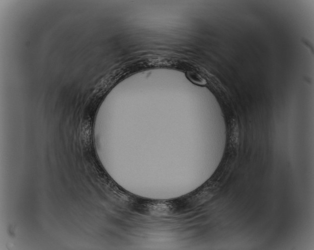 X0000100480513200807031855