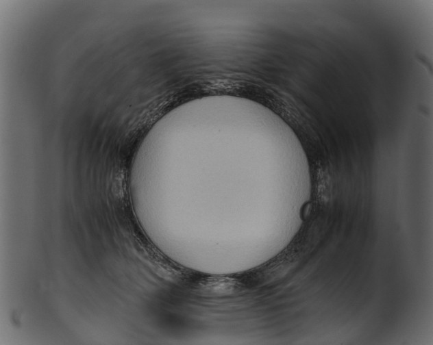 X0000100480514200807031855