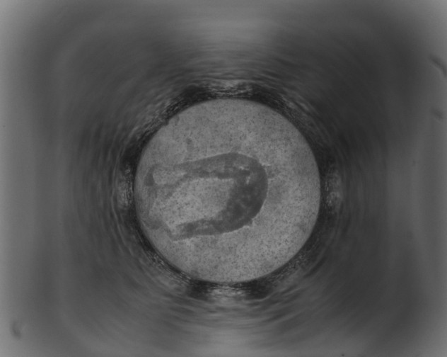 X0000100480515200807031855