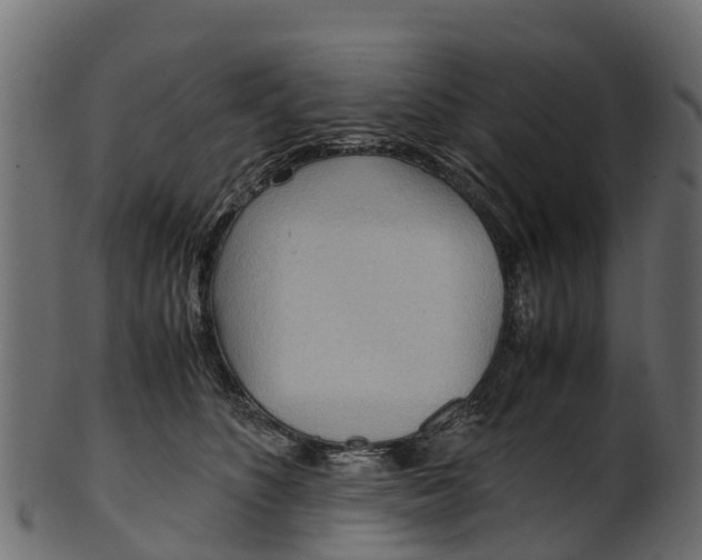 X0000100480516200807031855