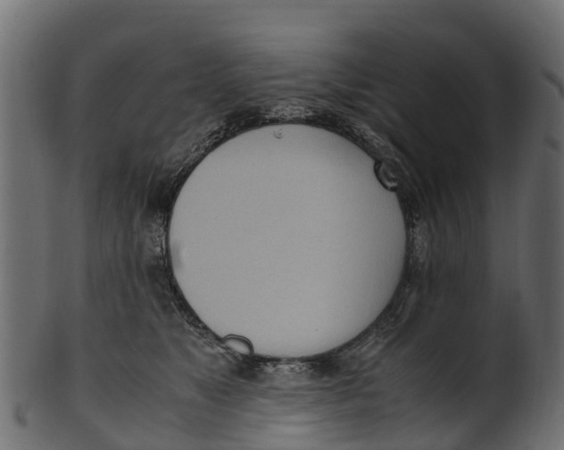 X0000100480517200807031855