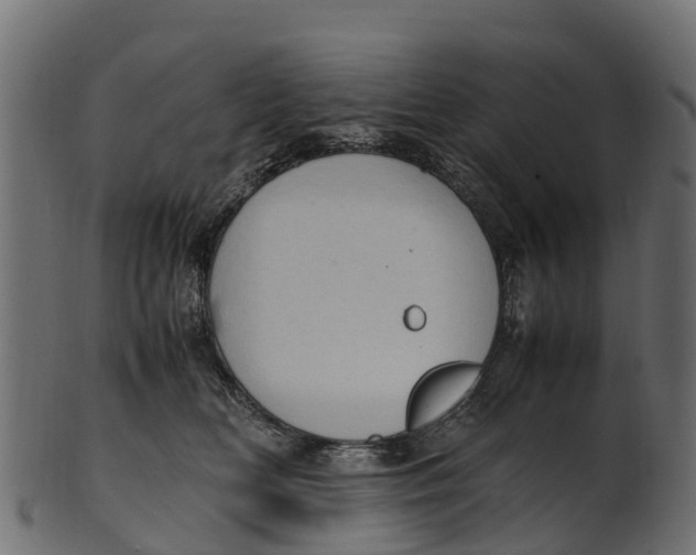 X0000100480518200807031855