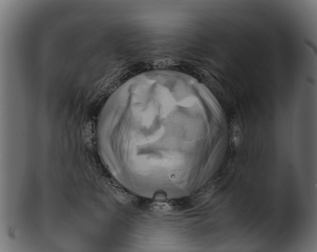 X0000100480519200807031855