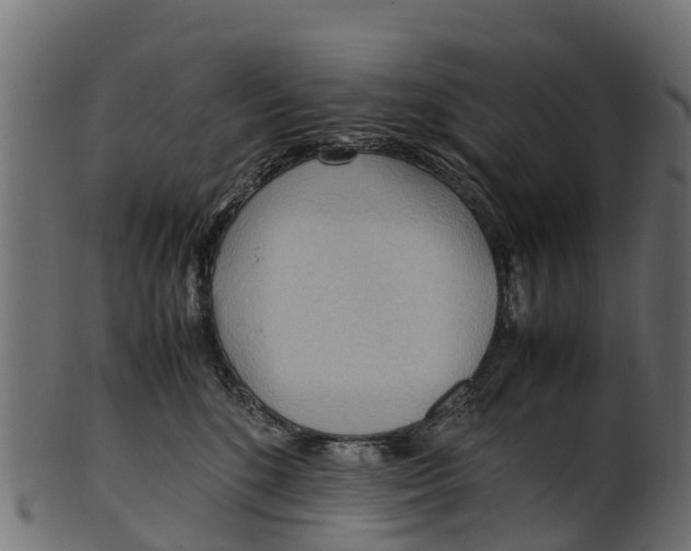 X0000100480520200807031855