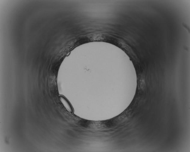 X0000100480521200807031855