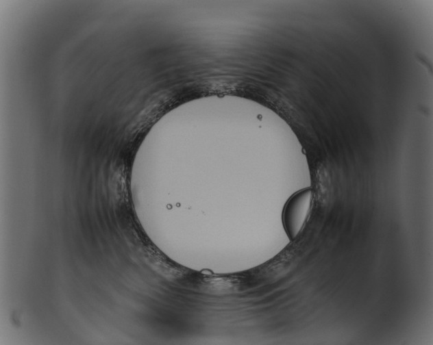 X0000100480522200807031855