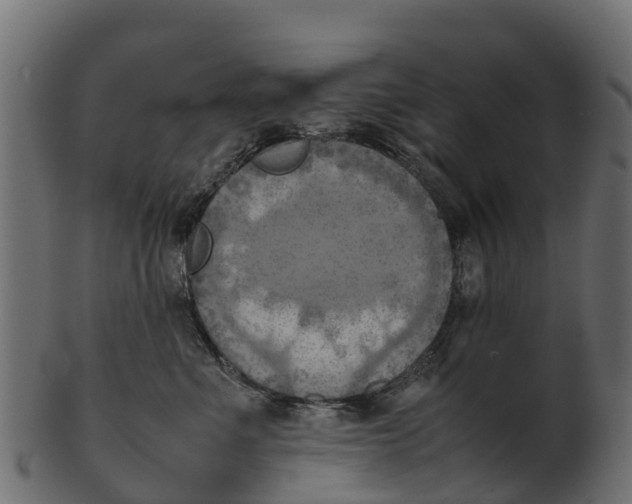 X0000100480523200807031855