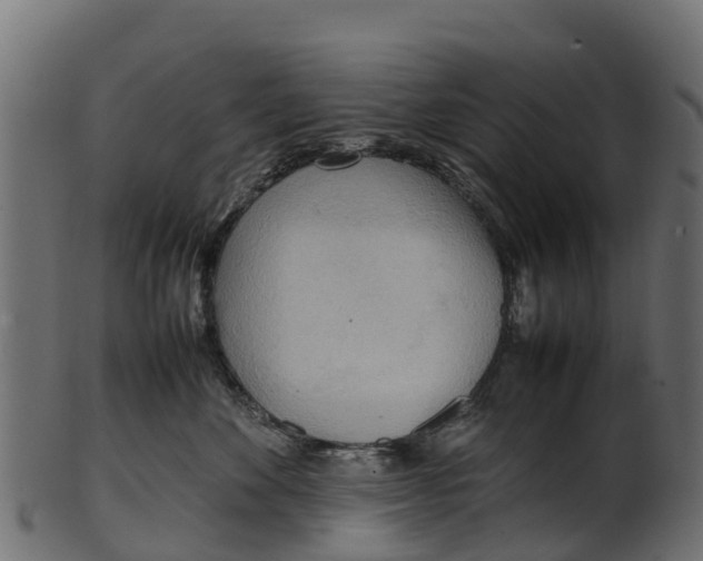 X0000100480524200807031855