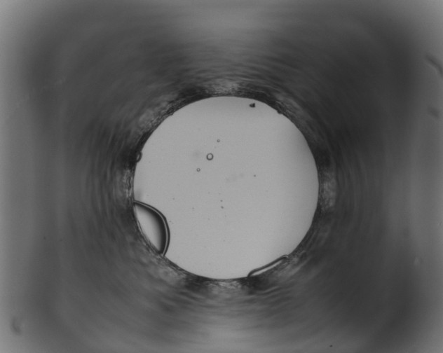 X0000100480525200807031855