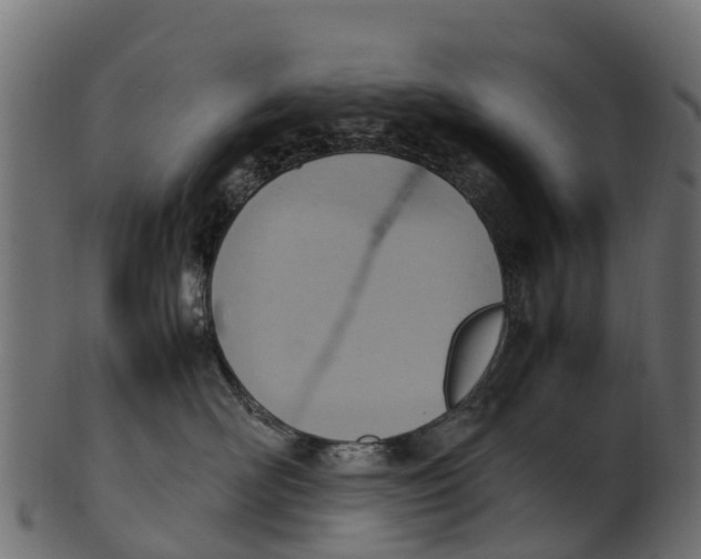 X0000100480526200807031855