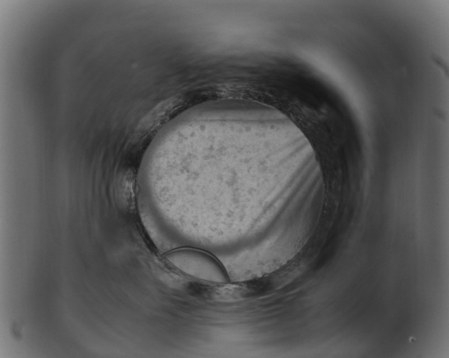 X0000100480527200807031855