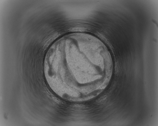 X0000100480529200807031854