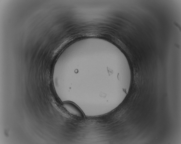 X0000100480530200807031854