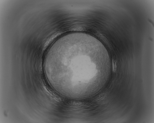 X0000100480531200807031854