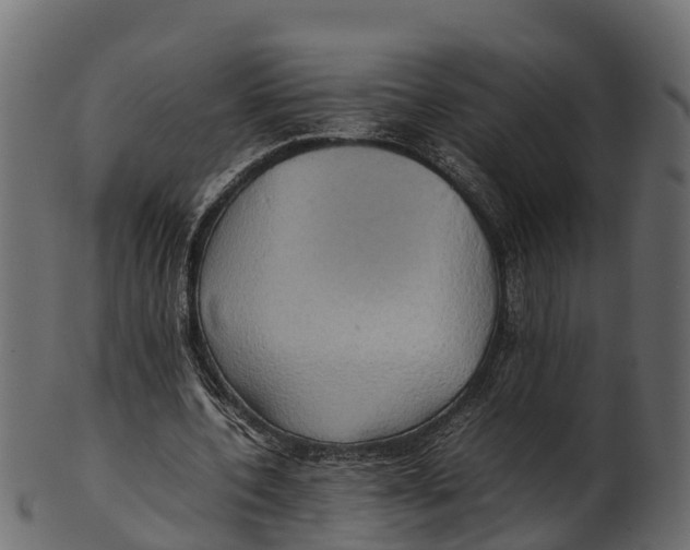 X0000100480532200807031854