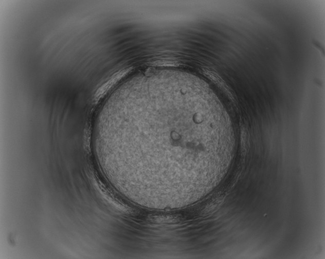 X0000100480533200807031854